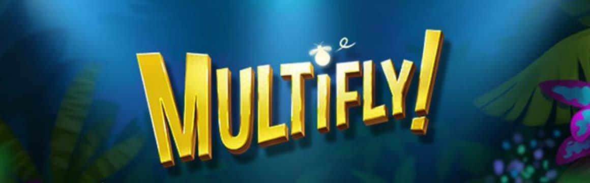 Whether you are a fan of puns or not, MultiFly by Yggdrasil is an online pokie that is worth your time, not least for the huge top prize.